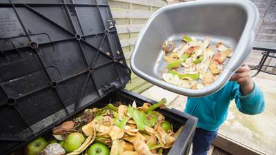 Obeo and FoodCloud make the most of our food waste