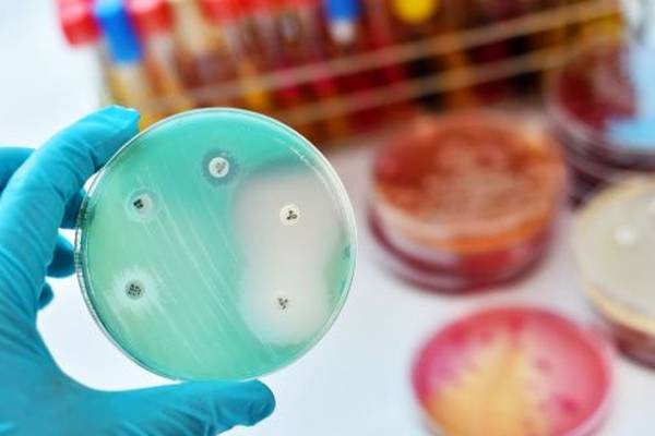 Antimicrobial resistance pandemic potentially looms in shadow of Covid