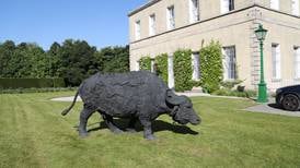 Grazing in Lucan: Italian ambassador’s residence opens to public with herd of buffalo sculptures