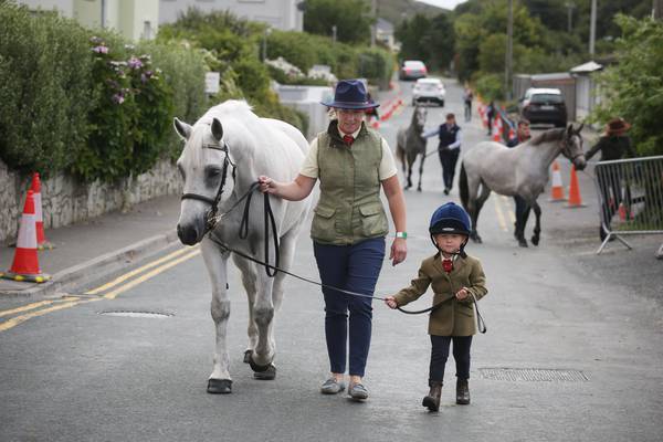 Crowds flock to Clifden for Connemara Pony Show