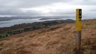 Walk for the weekend: Lush woods and open heath above Bantry Bay