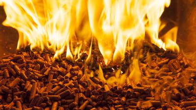 Bord na Móna to seek approval for €60m US wood pellet plant