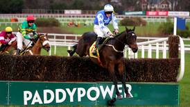 Willie Mullins’ Kemboy in contention for Leopardstown Gold Cup