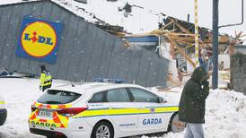 Lidl wheelie-bin looting was on an unprecedented scale, say gardaí