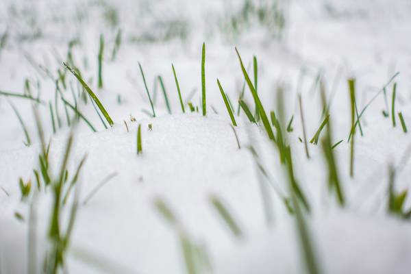 Countrywide chill produces snowfall on Easter Monday