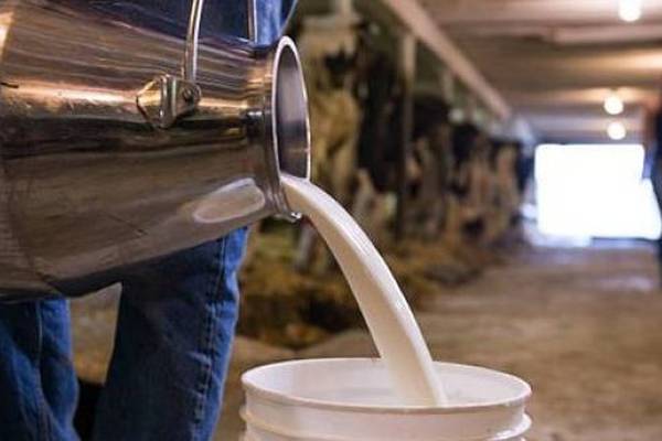 Average dairy farm income in Ireland now above €86,000