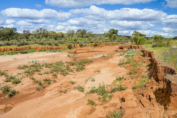 Woman survives in Australian outback for 12 days by boiling groundwater