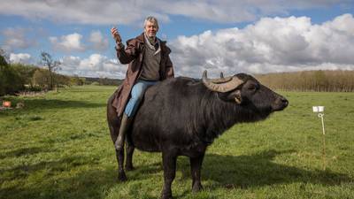 Buffalo soldier: The man making Mozzarella in Macroom