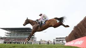 Vautour’s victory has Willie Mullins thinking ahead