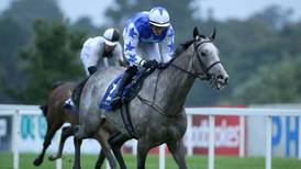 Pique Sous to miss out on Galway Festival