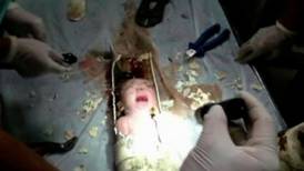 Video: Baby boy rescued from sewage pipe in China