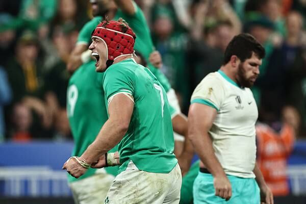 Rugby World Cup: Ireland come out of South Africa epic with clean bill of health