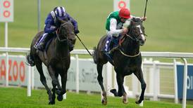Pyledriver likely to sidestep Royal Ascot and wait for King George