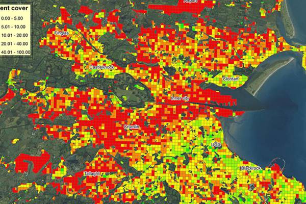 More tree cover reduces rate of asthma attacks, study finds