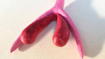 Sex education using a 3D printed clitoris in French classrooms soon