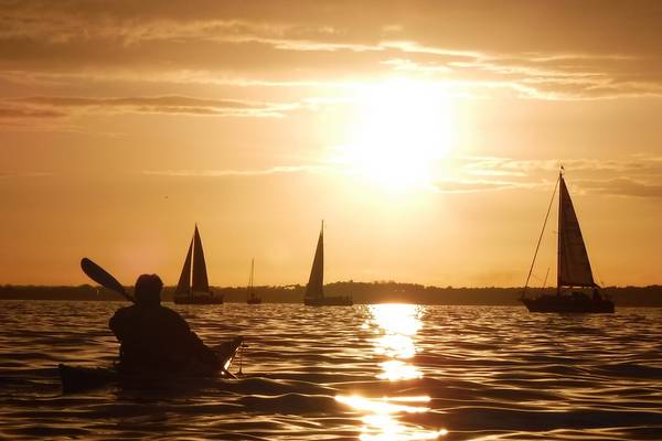 Sea kayaking: Glorious way to experience wildlife in Dublin Bay