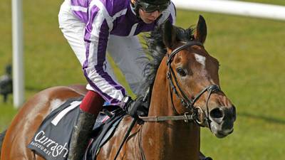 Three entitled to 20% share of £315,000 racehorse, court rules