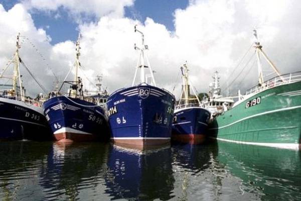 Brexit threatens to damage Irish fishing grounds, committee hears