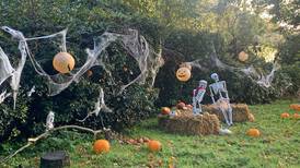 Poem of the Week: The Halloween Party 