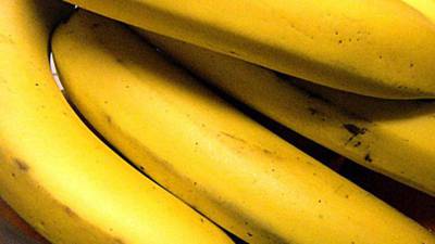 Montenegro's biggest cocaine seizure hidden under bananas
