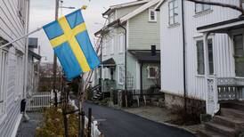 Could Swedish house price plunge hold lessons for Ireland?