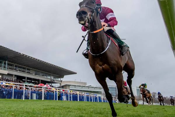 Conflated adds a new dimension to Cheltenham Gold Cup picture