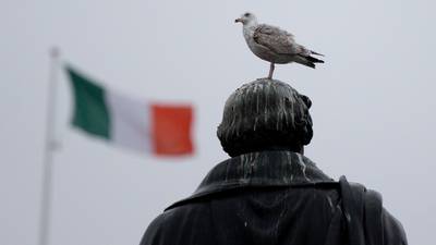 One fell swoop – Fionnuala Ward on seagulls