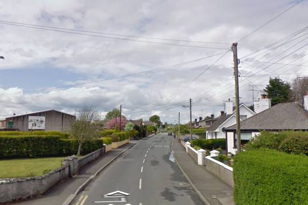 Man arrested over stabbing of 93-year-old at his home in Co Louth