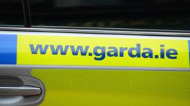 Passenger dies as car hits tree in north Co Dublin