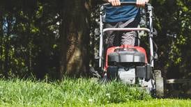 To mow or not to mow:  the dilemma facing lawn lovers