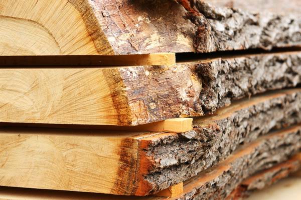 Coillte wood supplies set to dry up next year