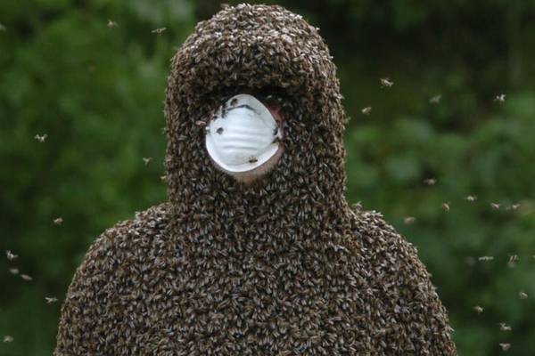 Philip McCabe: Ireland’s Bee Man