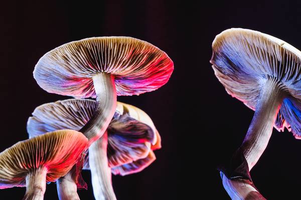 Psychedelics are transforming the way we understand depression and its treatment