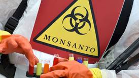 Monsanto in talks with Bayer about ‘strategic options’