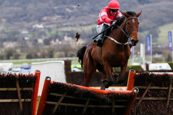 Laurina looking to land Punchestown primer ahead of Cheltenham