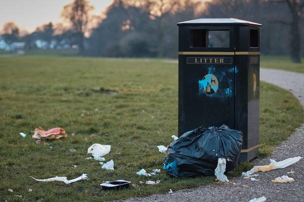 What is in the average Irish litter bin?