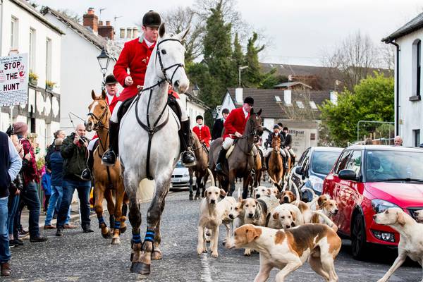 Move to ban hunting with dogs defeated in Stormont Assembly