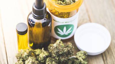 State urged to reject idea cannabis has medicinal function