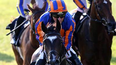 Aidan O’Brien favourite for leading trainer at Ascot