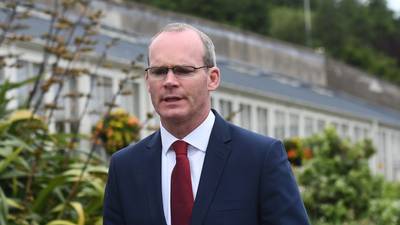 Coveney challenged pilot who refused to fly due to fog forecast
