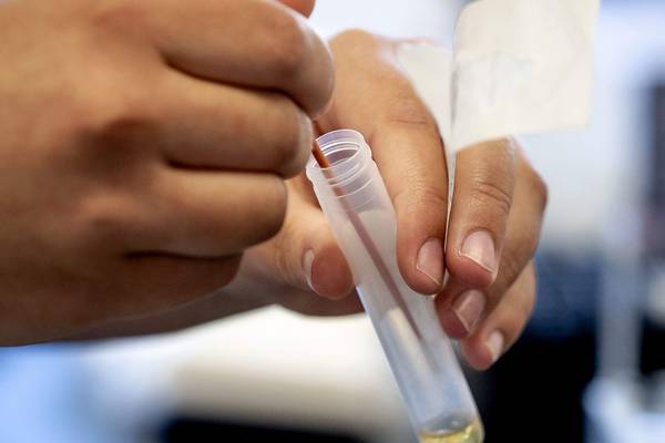 Coronavirus: Republic reports 17 further deaths, 325 new cases