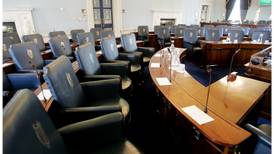 Reformed Seanad poll would have ‘low turnout’