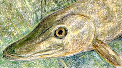 Another Life: Our pike are noble predators, not alien villains
