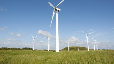 Coillte and Bord na Móna agree deal for €90m wind farm
