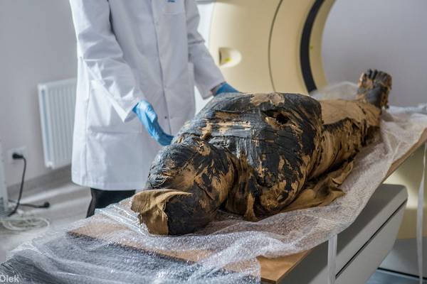 Scientists discover ancient Egyptian mummy of pregnant woman