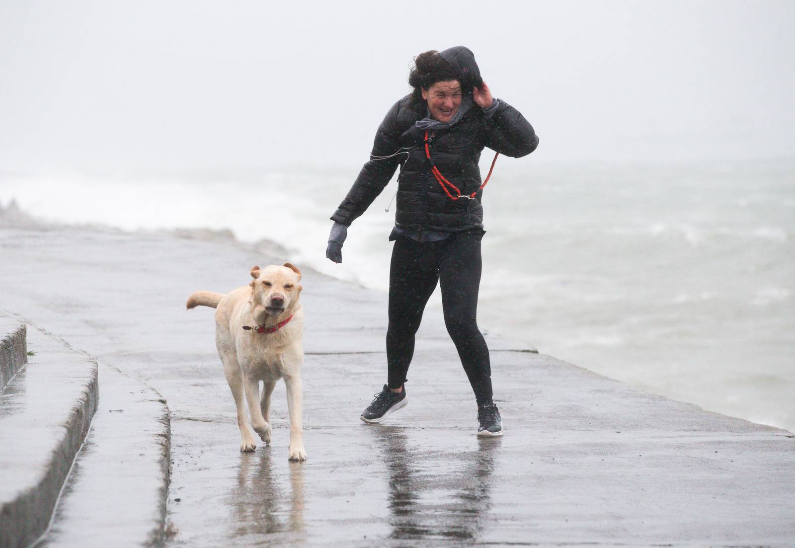 NEWS 
13/1/2020
Views of  Storm Brendan.
Grainne Browne  from Dn Laoghaire  and her dog "WILSON" walks in the rain in Dn Laoghaire .
Photo: Tom Honan for The Irish Times.