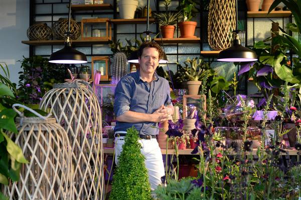 Dunnes targets millennials with low-maintenance gardens