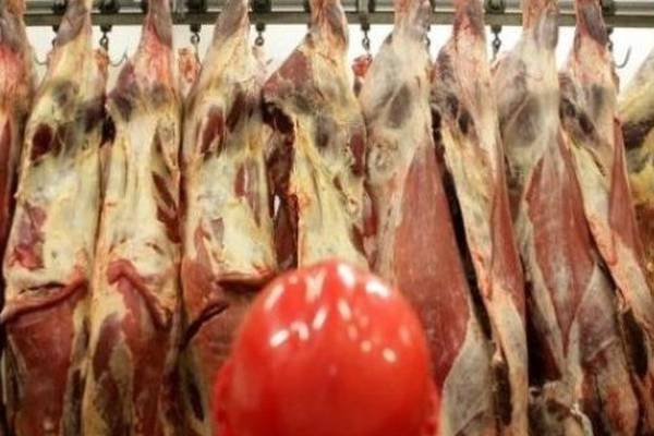 Health authority gave meat plants advance notice of coronavirus inspections