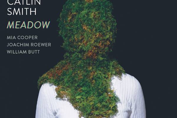 Linda Catlin Smith: Meadow review – Deeply meditative