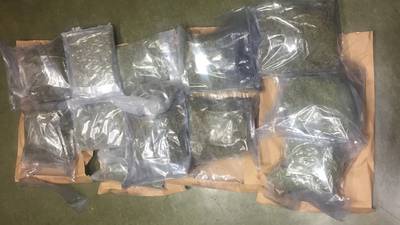 Cocaine and cannabis worth €250,000 seized in Limerick